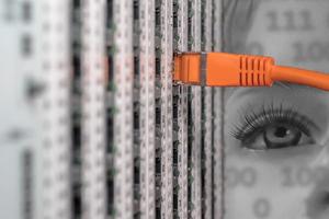 IT-Check_large